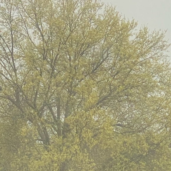 Meet your Posher, Erica - Picture 9 of 15